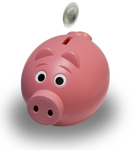 a coin falling into the piggy bank 