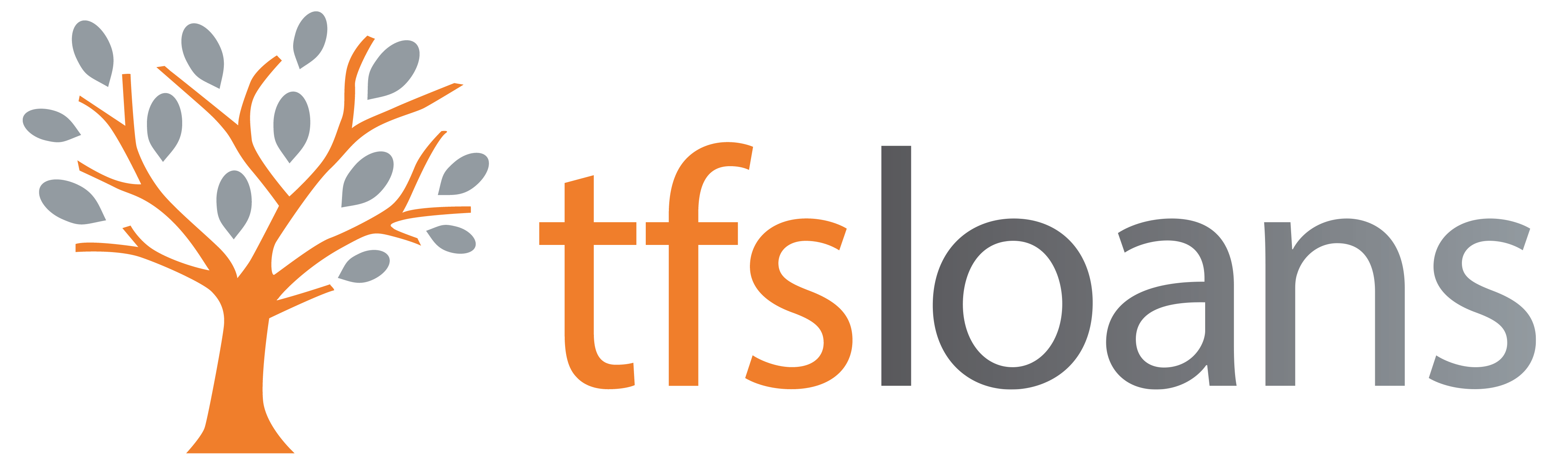tfs loans logo horizontal 