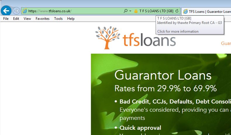 tfs loans domain name 