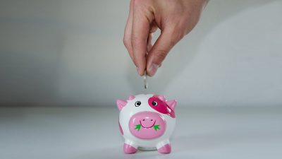 Piggy Bank - Pink and White Clay